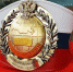 Золото Чемпионата России у чайковского единоборца - Чайковский городской округ