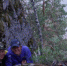 DSC05888-300x200.jpg - Чайковская Вечорка