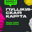 Пушкинская карта - ЧГАФКиС