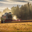 В Пермском крае 24 начинающих фермера стали победителями конкурсного отбора на грант «Агростартап» - Газета Огни Камы