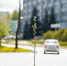 фото_018.jpg - Чайковский городской округ