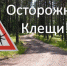 В Пермском крае начинается сезон клещевой активности - Газета Огни Камы
