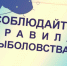 Внимание нерест! - Газета Огни Камы