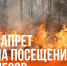 С 19 по 24 мая ограничено пребывание граждан в лесах - Чайковский городской округ