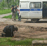 В Перми во дворе нашли снаряд времён войны - Chaikovskie.Ru