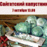 Добро пожаловать на Сайгатский капустник! - Chaikovskie.Ru