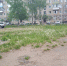 Летом будет обустроена спортивная площадка «Буревестник» - Chaikovskie.Ru