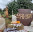Сольное и хоровое народное пение на празднике "Бери-вари!" - Музыкальное училище