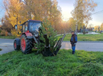 Город дышит: озеленение продолжается
