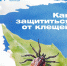 как защититься от клещей - Музыкальное училище